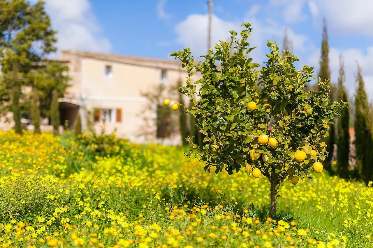 Finca Son Prohens Hotel Felanitx