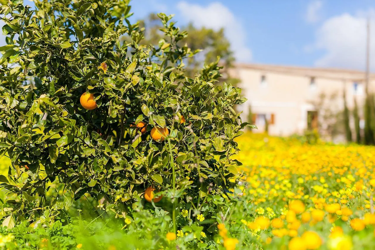Finca Son Prohens Hotel Felanitx 0*,